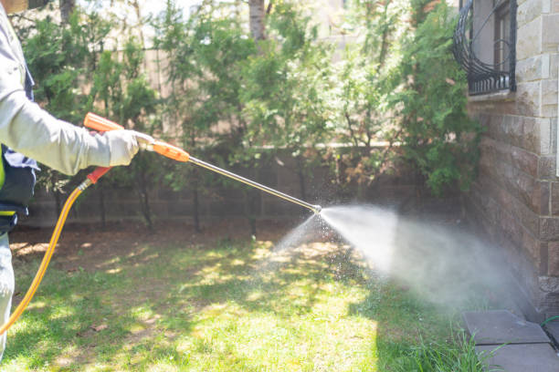 Best Residential Pest Control  in Lakeland, FL